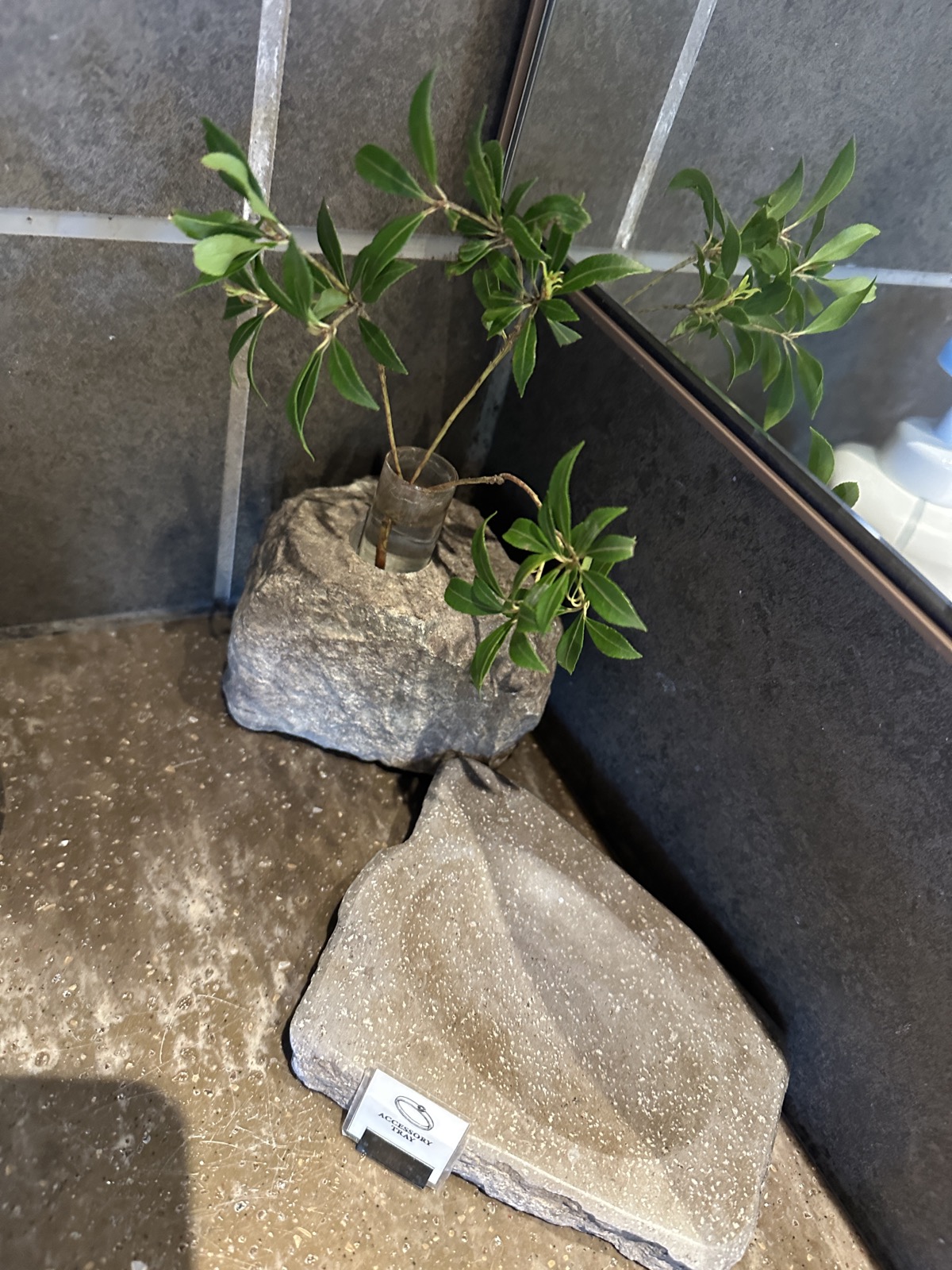 洗面まわりの植物と自然石のディスプレイ